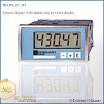 RIA251 صفحه نمایش خط و فرآیند RIA250-251-252 Process display