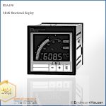 Process display RIA 450